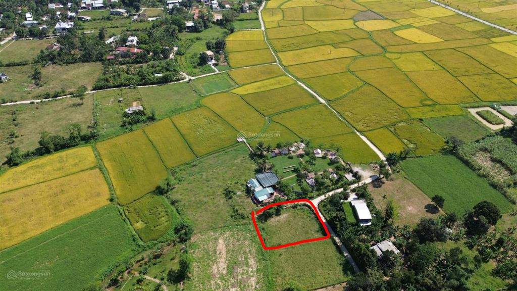 Cần bán gấp đất 2 mặt kiệt làm homestay, 577m² có 200m² đất ở gần sông cu đê.