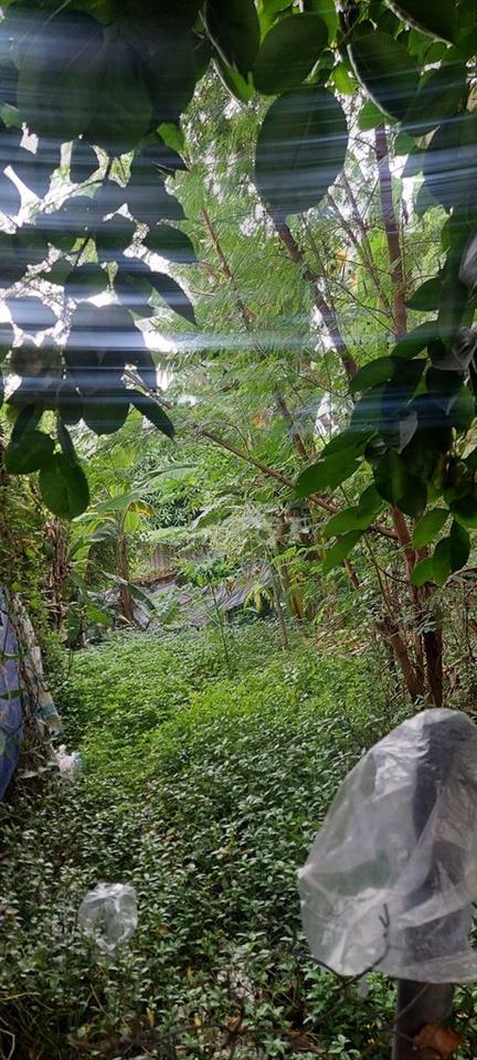 Đất mặt đường 8m