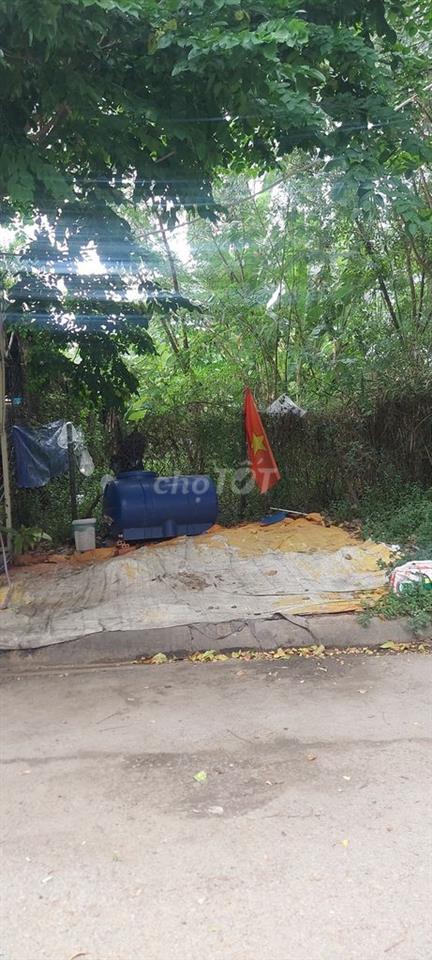 Đất mặt đường 8m