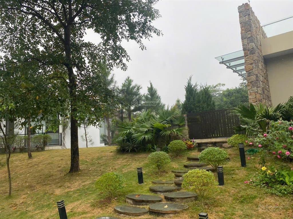 Đất biệt thự đấu giá ngọc thanh xuân hoà vị trí sát dự án thanh xuân valley