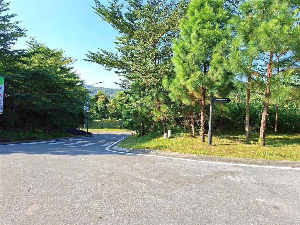 Đất biệt thự đấu giá ngọc thanh xuân hoà vị trí sát dự án thanh xuân valley