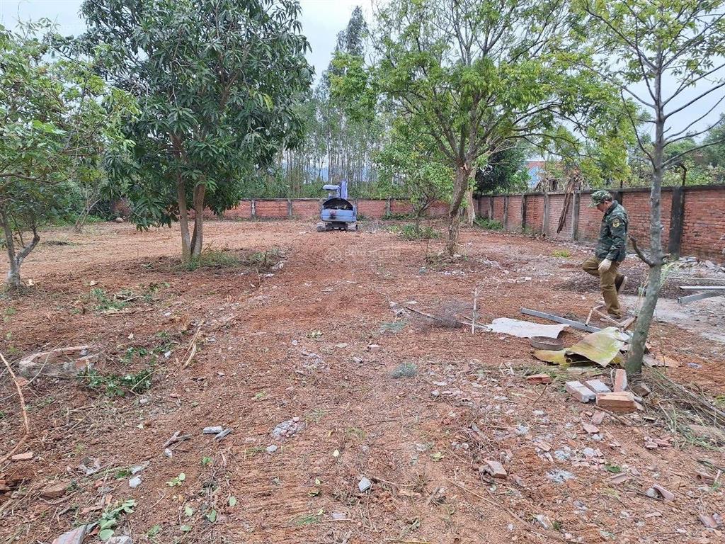 1000m2 đất giãn dân chợ tình, ngọc thanh, xuân hòa