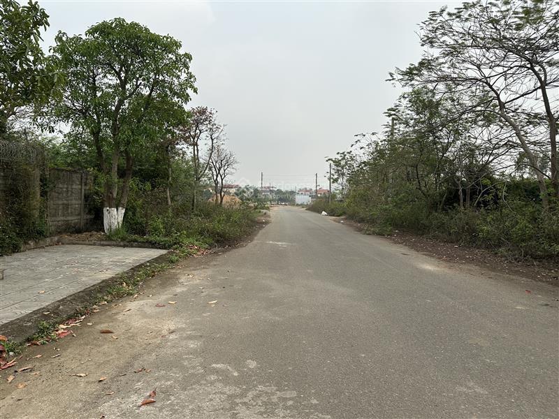 1000m2 đất giãn dân chợ tình, ngọc thanh, xuân hòa
