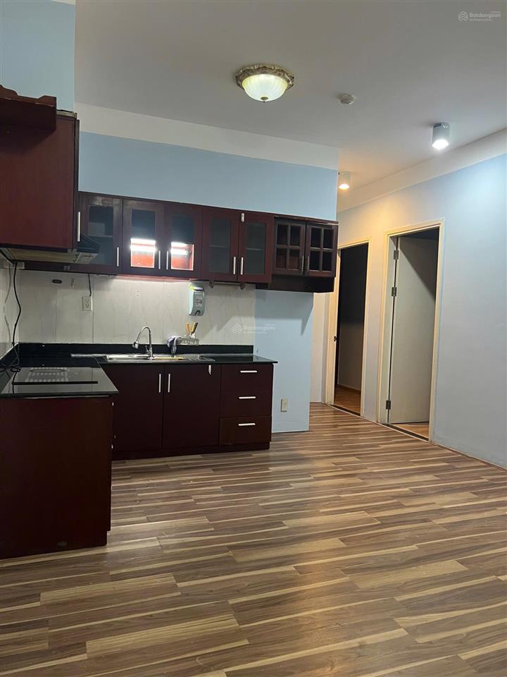 Chủ cần tiền cần bán gấp căn hộ carillon 1  ngay nhà ga t3