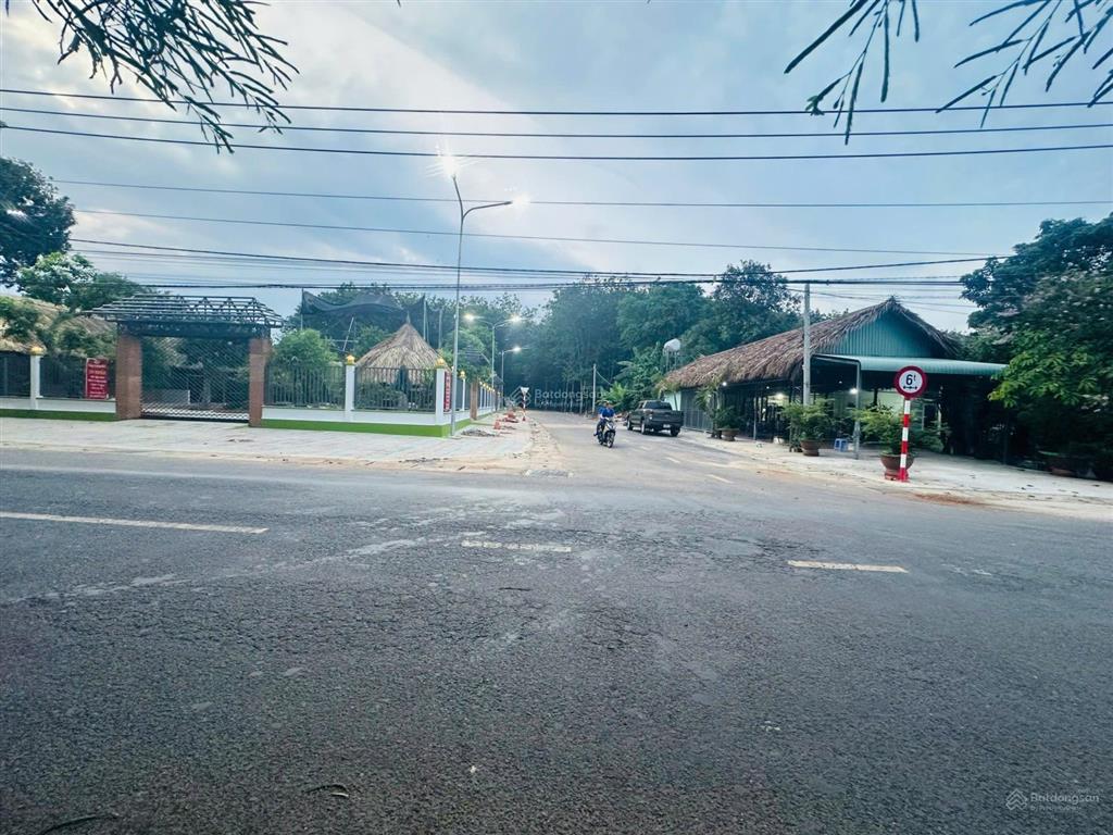 Cần bán gấp chủ ngộp lắm rồi. 16.000m2 đất cao su đang thu hoạch năm thứ 3, quy hoạch skc
