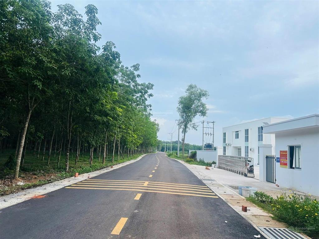 Cần bán gấp chủ ngộp lắm rồi. 16.000m2 đất cao su đang thu hoạch năm thứ 3, quy hoạch skc