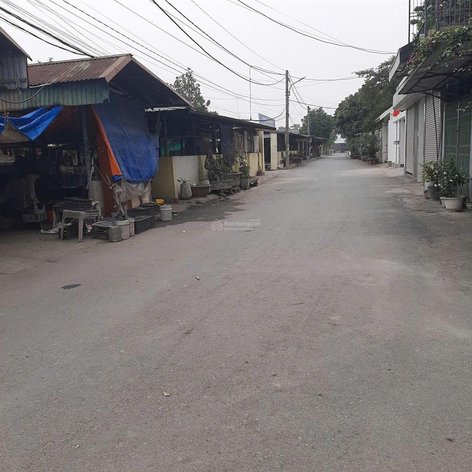 Bán 60m2 đất thôn tiên hội xã đông hội đông anh hà nội giáp vin cổ loa đường 4.5m thông 117tr/m2