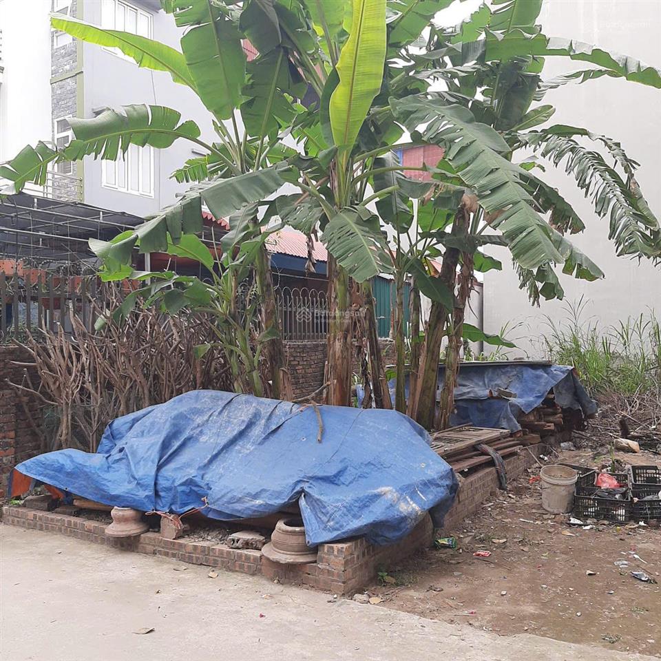 Bán 60m2 đất thôn tiên hội xã đông hội đông anh hà nội giáp vin cổ loa đường 4.5m thông 117tr/m2