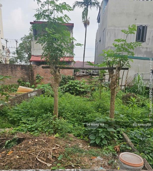 Bán 43m2 đất thôn đông trù, đông hội, đông anh, hàng xóm vin cổ loa, ngõ ô tô