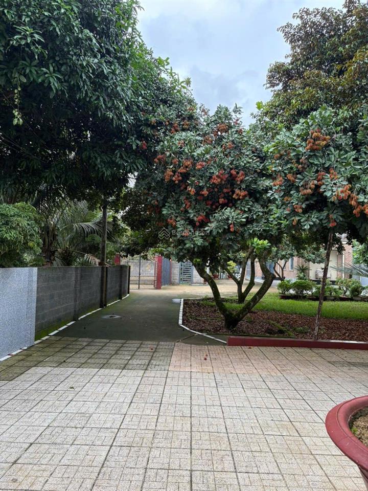 Cho thuê nhà nguyên căn  full nội thất  trung tâm long khánh  bao điện nước