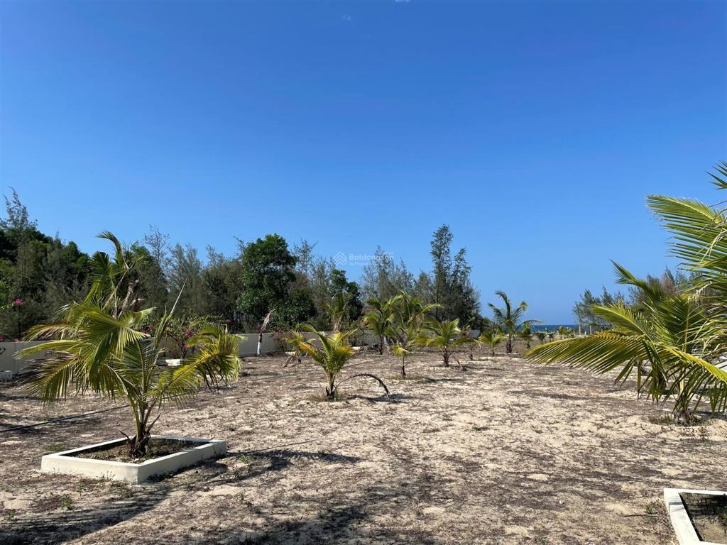 Bán 5000m2 đất view biển tam thanh mặt trước là đường thanh niên 1 vị trí đắc địa