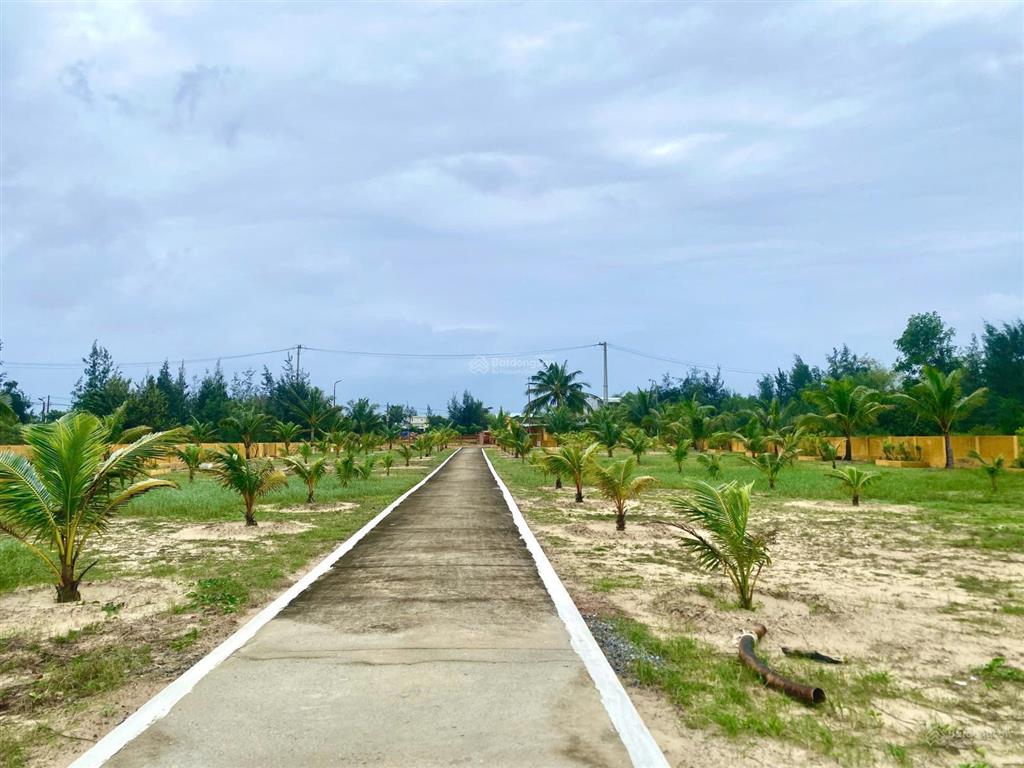 Bán 5000m2 đất view biển tam thanh mặt trước là đường thanh niên 1 vị trí đắc địa