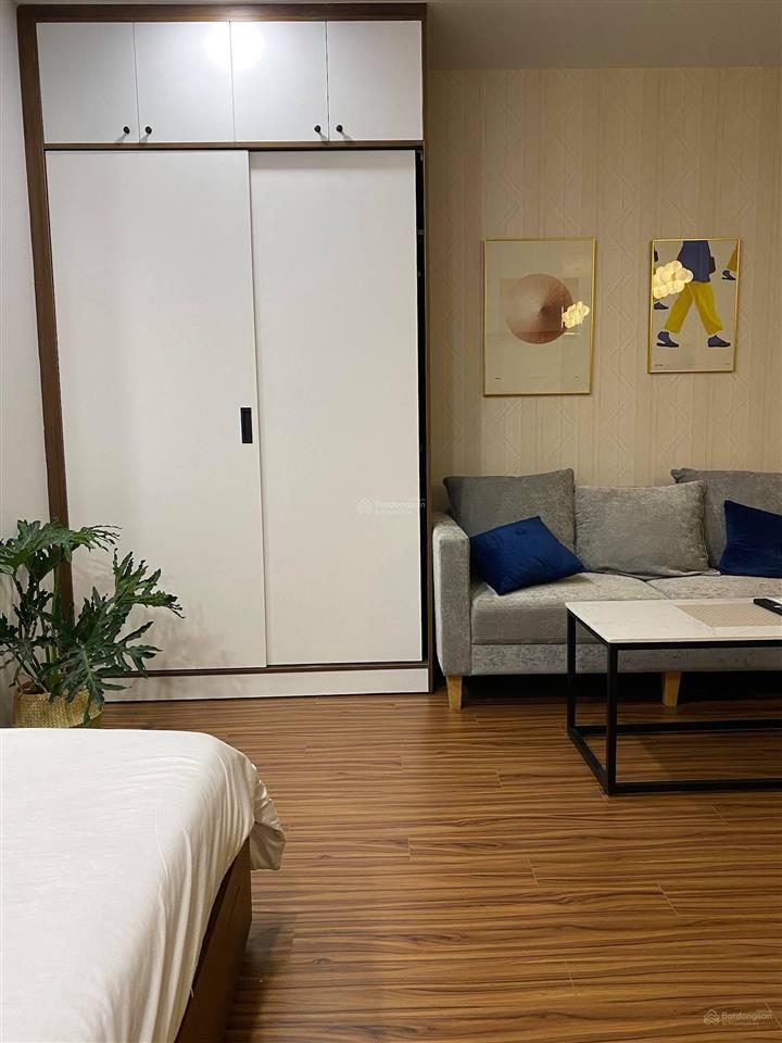 Cho thuê officetel sunrise city view, q7, giá chỉ 10 tr/tháng, có nội thất