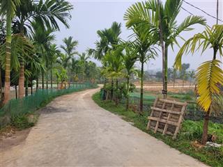 Bán đất tại xã tam sơn, huyện cẩm khê 6000m2 chỉ 1,9 tỷ có ao sẵn sổ đất rất đẹp