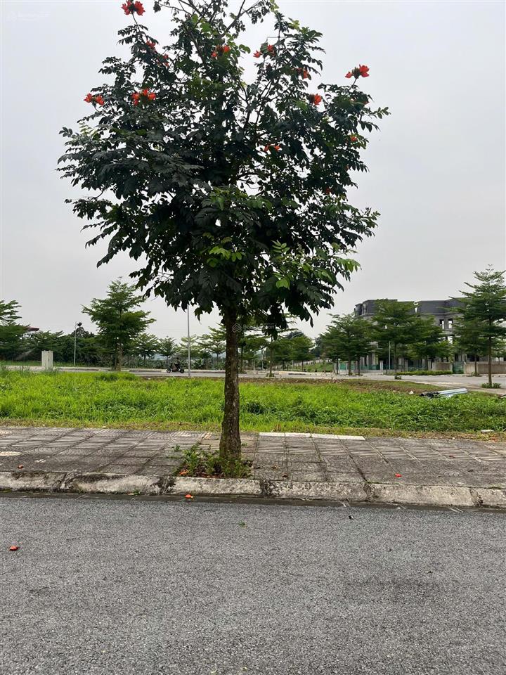 Bán gấp ô 100m² chỉ 2,1 tỷ giá tốt kđt cẩm khê central park vị trí đẹp  0942 974 *** sẵn sổ