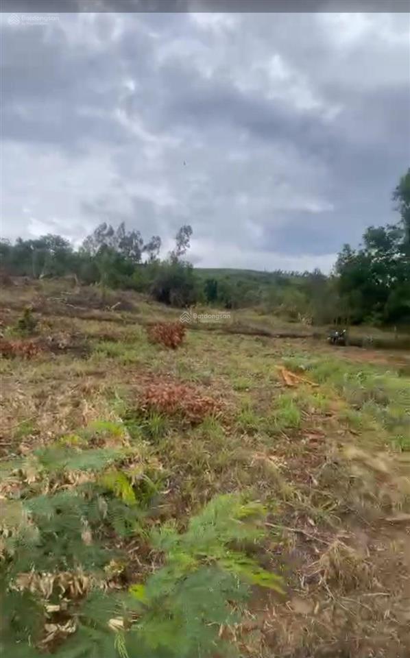 Cực rẻ. bán lô đất 20.000m2 có 200 thổ cư ở tuy an. giá bán 999 tr. quá rẻ