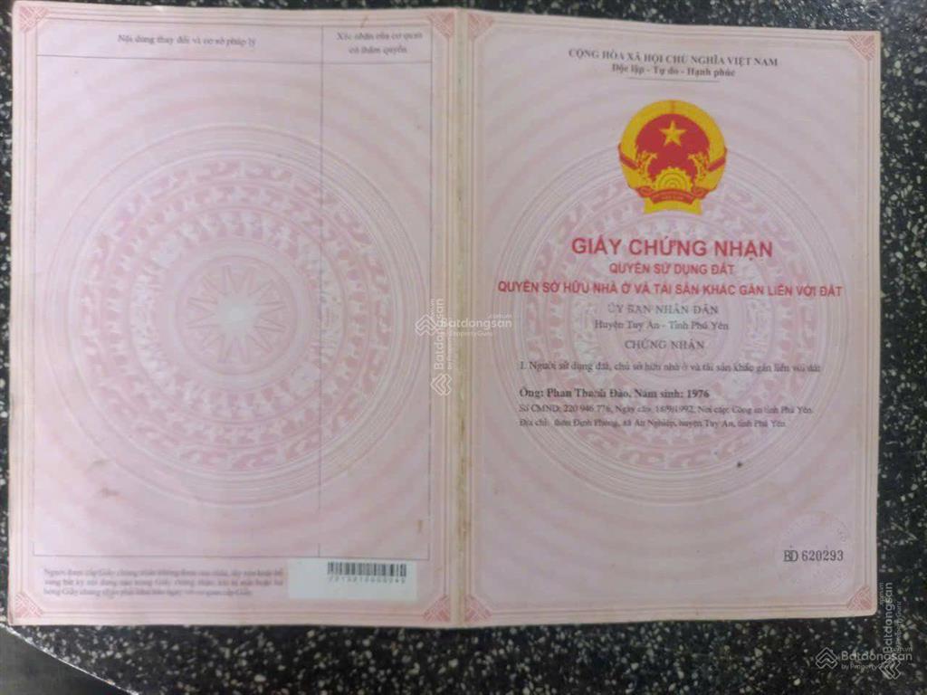 Cực rẻ, chỉ 75 triệu mua được 1,85ha đất rừng sản xuất