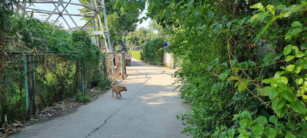 Cho thuê nhà riêng 50m2, giá 4,5 triệu tại phú đô, nam từ liêm, hà nội