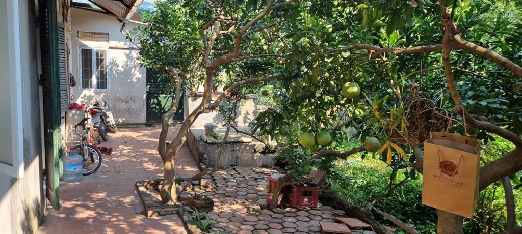 Cho thuê phòng trọ, 30m, sân vườn 100m, có chỗ để ô tô, đường 3 ô tô tránh nhau  0971 929 ***
