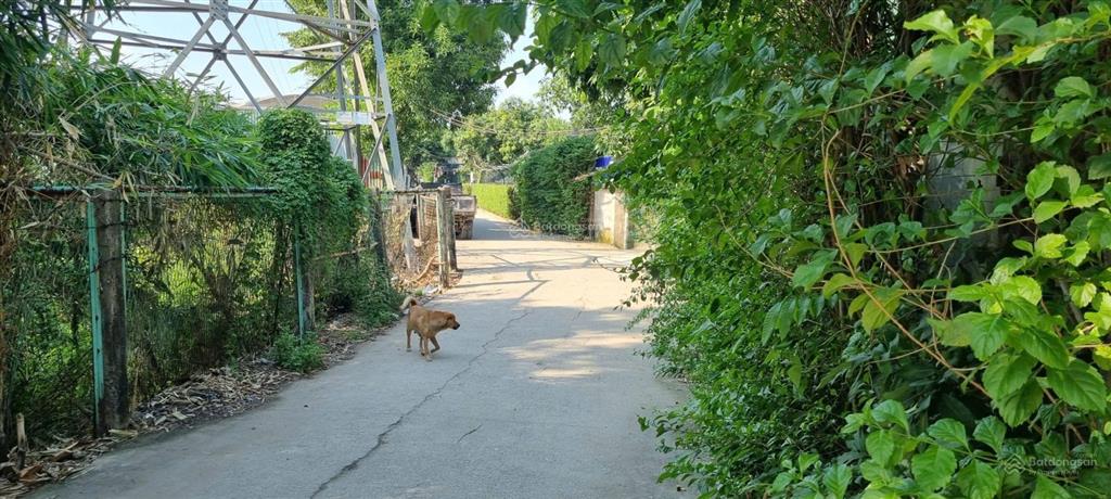 Cho thuê phòng trọ, 30m, sân vườn 100m, có chỗ để ô tô, đường 3 ô tô tránh nhau  0971 929 ***