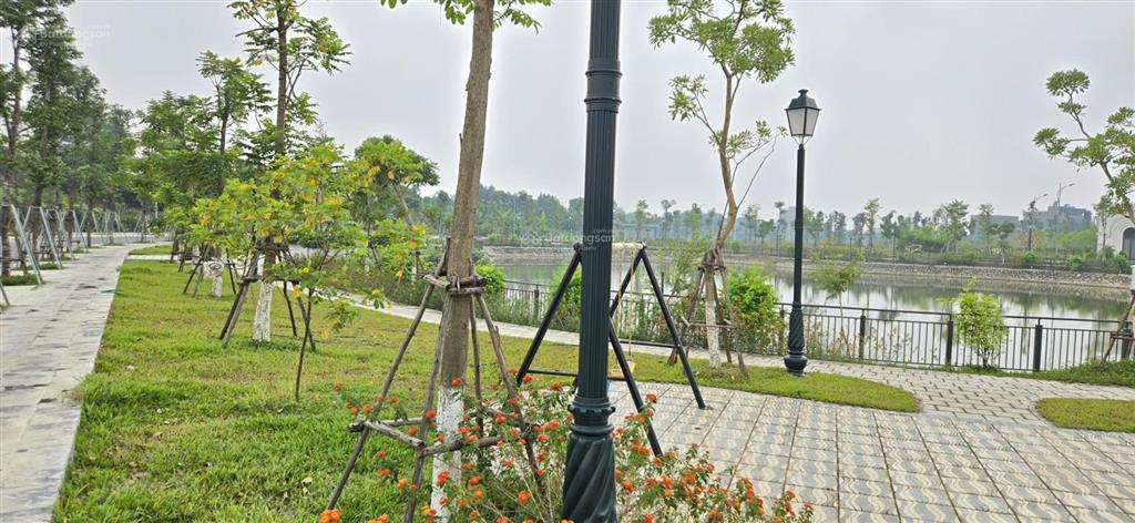 Cần bán đất nền dự án tại cao thượng 50tr/m2 căn sát góc  0971 929 ***