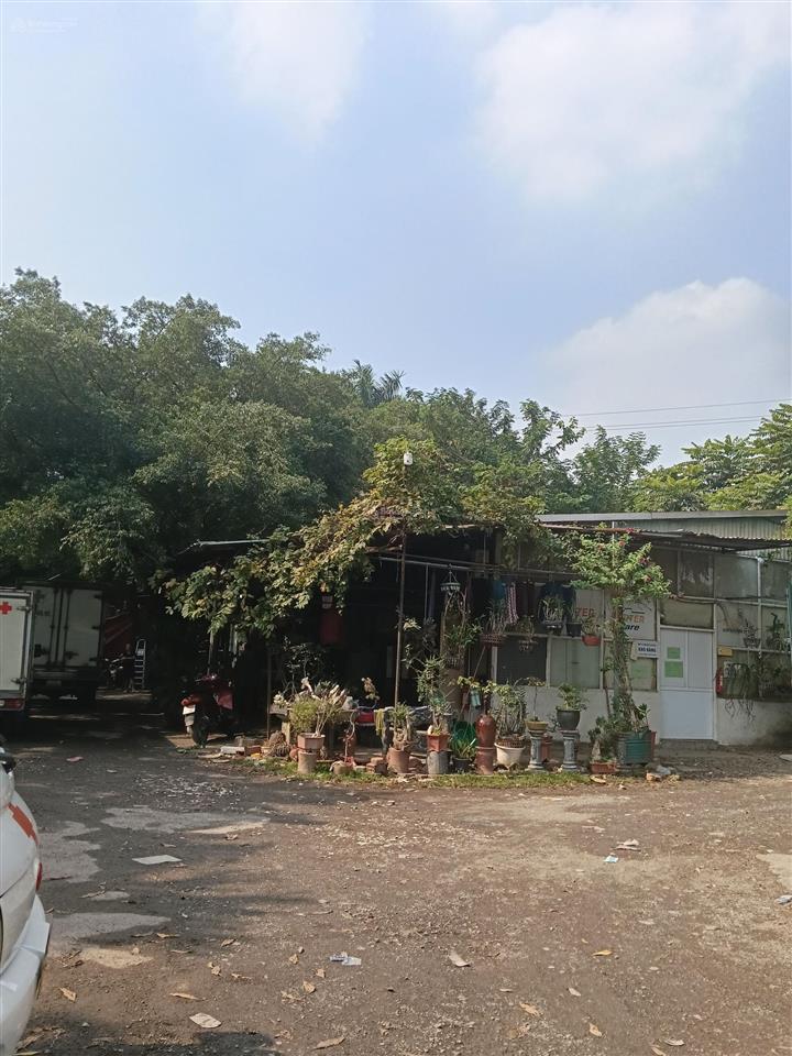 Cho thuê kho và đất phan trọng tuệ đại thanh, dt 650m2 xe công đỗ