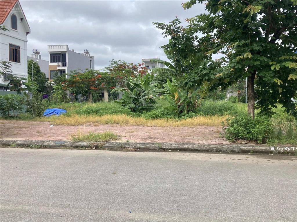 Bán đất mặt đường 40m khu tdc tràng cát gần dự án ecopark