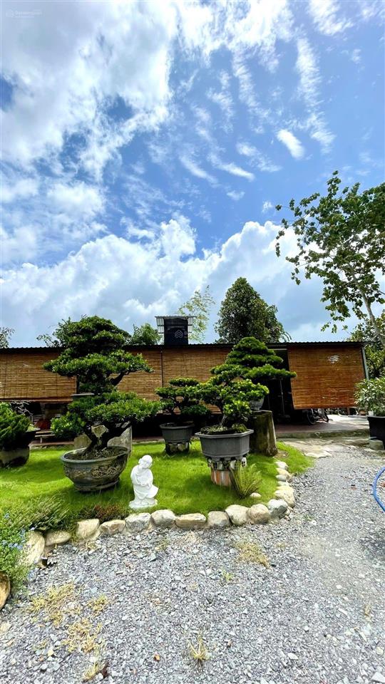 Nhà vườn 2000m2 mặt tiền nguyễn văn khạ, xã tân an hội, củ chi, có nhà vườn tiểu cảnh hồ cá, 7.5 tỷ