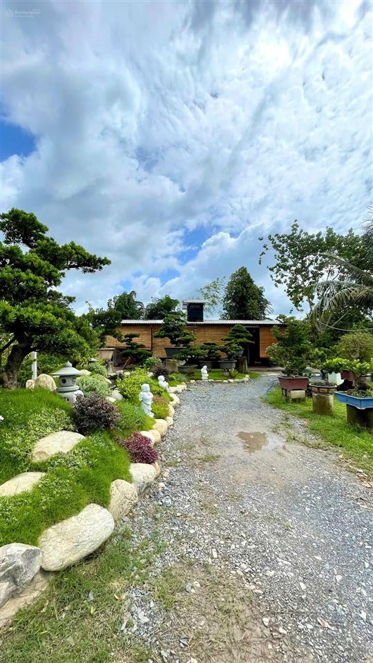 Nhà vườn 2000m2 mặt tiền nguyễn văn khạ, xã tân an hội, củ chi, có nhà vườn tiểu cảnh hồ cá, 7.5 tỷ