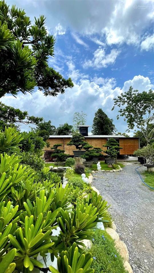 Nhà vườn 2000m2 mặt tiền nguyễn văn khạ, xã tân an hội, củ chi, có nhà vườn tiểu cảnh hồ cá, 7.5 tỷ
