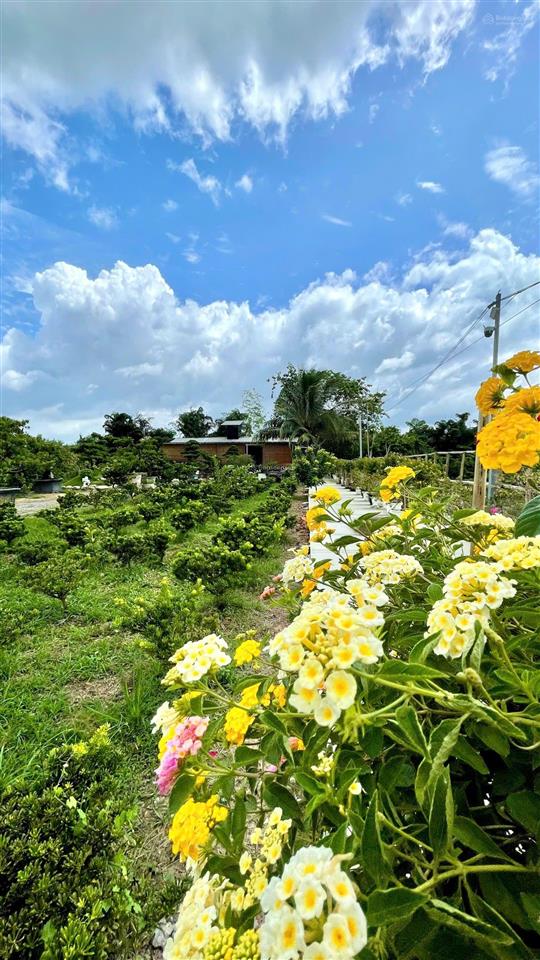 Nhà vườn 2000m2 mặt tiền nguyễn văn khạ, xã tân an hội, củ chi, có nhà vườn tiểu cảnh hồ cá, 7.5 tỷ
