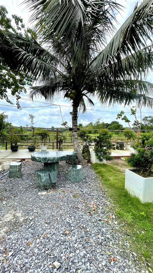 Nhà vườn 2000m2 mặt tiền nguyễn văn khạ, xã tân an hội, củ chi, có nhà vườn tiểu cảnh hồ cá, 7.5 tỷ