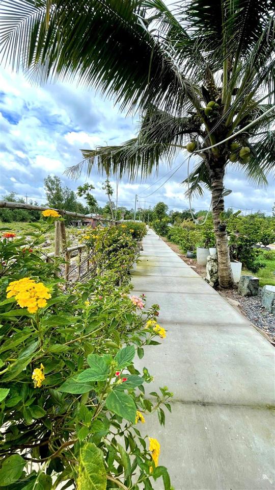 Nhà vườn 2000m2 mặt tiền nguyễn văn khạ, xã tân an hội, củ chi, có nhà vườn tiểu cảnh hồ cá, 7.5 tỷ