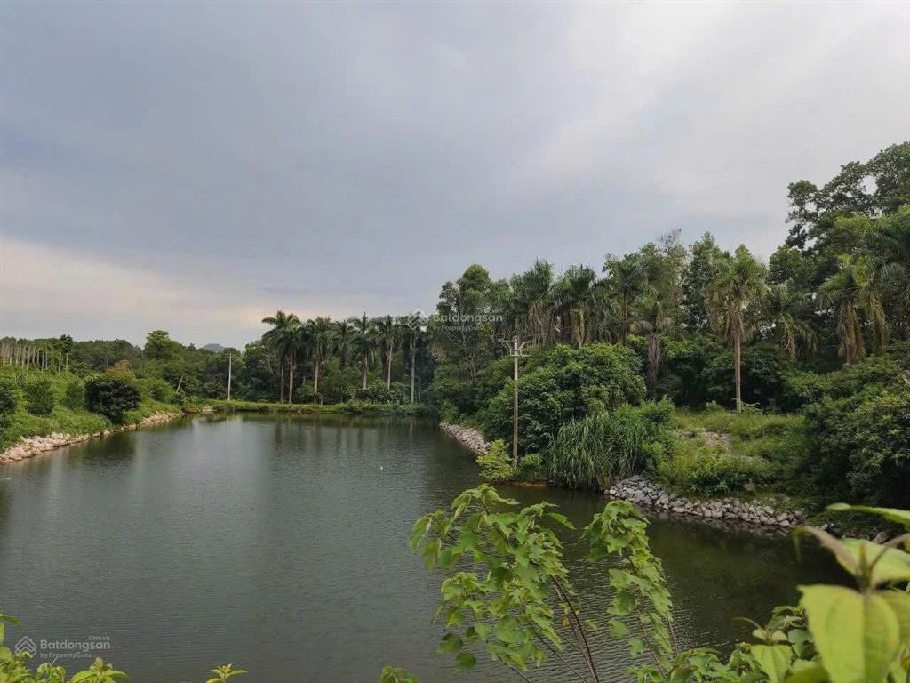 Siêu dự án 10ha có hồ lớn thổ cư 4000m2 thích hợp làm dự án biệt thự, phân lô, liền kề cách hn 30km