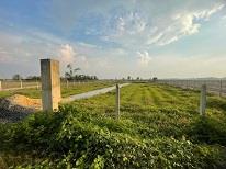 Bán đất tại đường tỉnh lộ 784, phước ninh, dương minh châu, 1,533 tỷ, 1381.6m2 giá tốt
