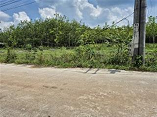 Bán đất tại xã tân lập, 2,55 tỷ, 1313,8m2, giá ưu đãi