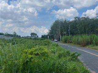 Bán đất trồng cây hàng năm tại xã bàu năng, 2,782 tỷ, 2525 m2