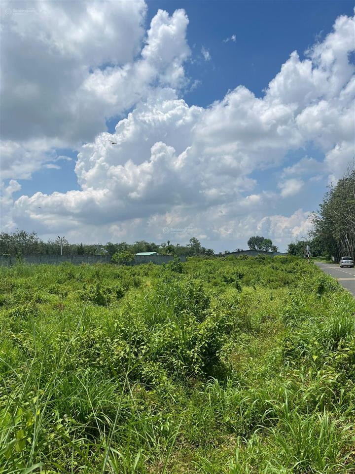 Bán đất trồng cây hàng năm tại xã bàu năng, 2,782 tỷ, 2525 m2