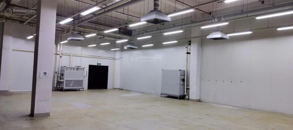 Cho thuê nhà xưởng tại kcx tân thuận, q7, diện tích 3000m2/ sàn, hạ tầng hoàn thiện