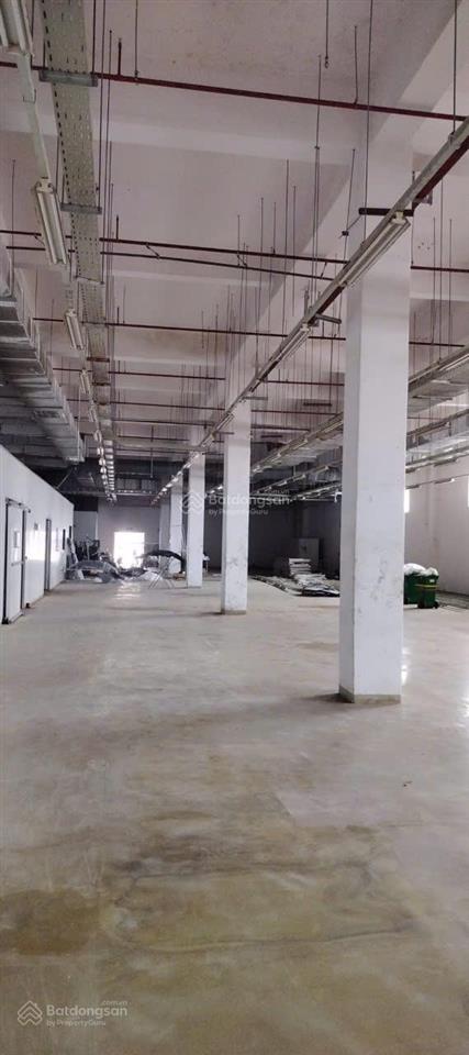 Cho thuê nhà xưởng tại kcx tân thuận, q7, diện tích 3000m2/ sàn, hạ tầng hoàn thiện