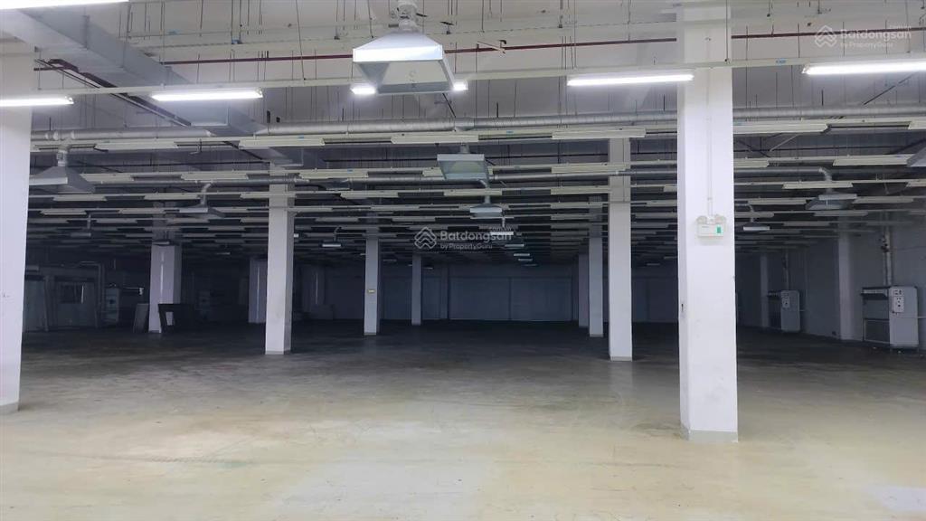 Cho thuê nhà xưởng tại kcx tân thuận, q7, diện tích 3000m2/ sàn, hạ tầng hoàn thiện