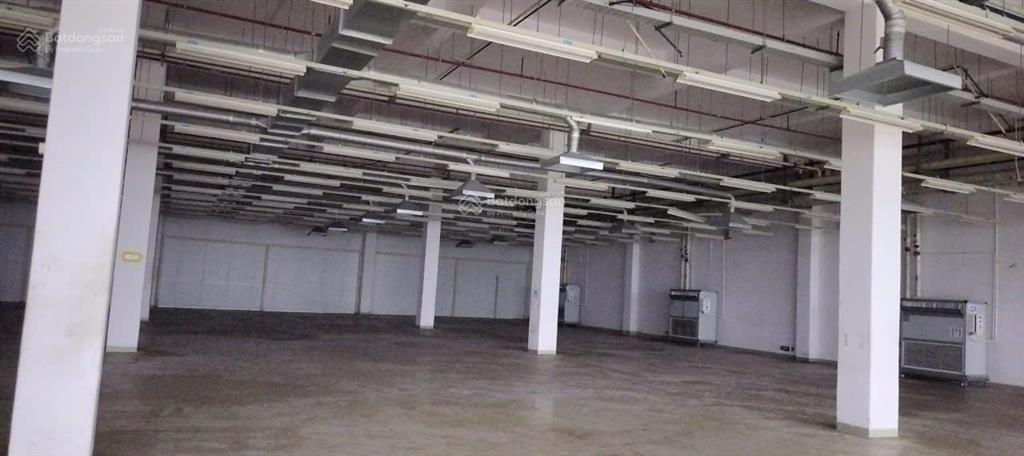 Cho thuê nhà xưởng tại kcx tân thuận, q7, diện tích 3000m2/ sàn, hạ tầng hoàn thiện