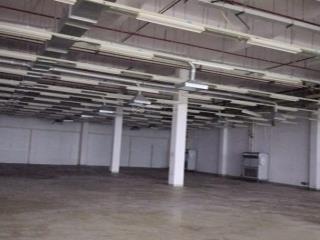 Cho thuê nhà xưởng tại kcx tân thuận, q7, diện tích 3000m2/ sàn, hạ tầng hoàn thiện
