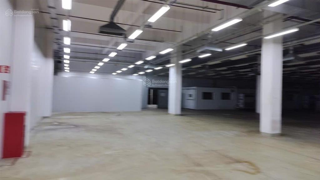 Cho thuê nhà xưởng tại kcx tân thuận, q7, diện tích 3000m2/ sàn, hạ tầng hoàn thiện