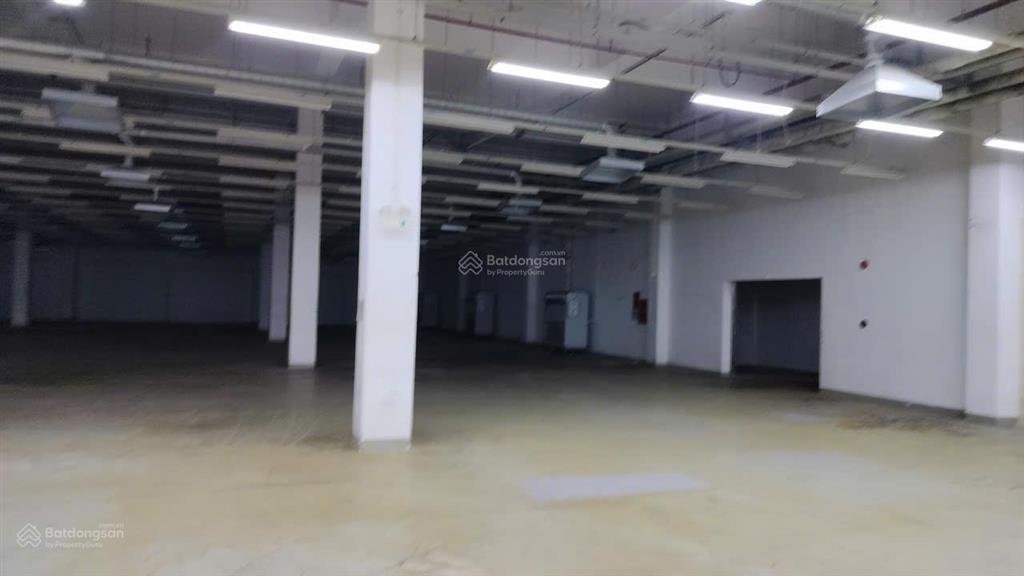 Cho thuê nhà xưởng tại kcx tân thuận, q7, diện tích 3000m2/ sàn, hạ tầng hoàn thiện