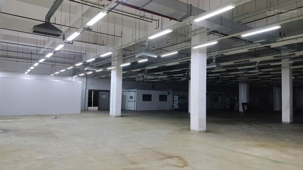Cho thuê nhà xưởng tại kcx tân thuận, q7, diện tích 3000m2/ sàn, hạ tầng hoàn thiện
