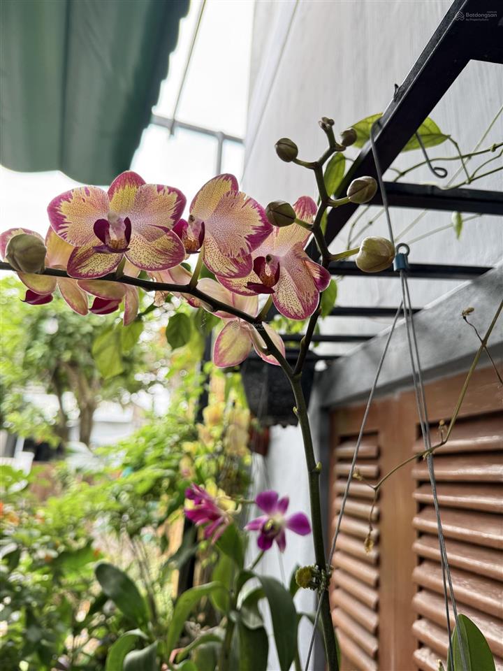 Gia đình cần tìm chủ cho lô đất sát bãi tắm gành đỏ, 132m2, 768 triệu