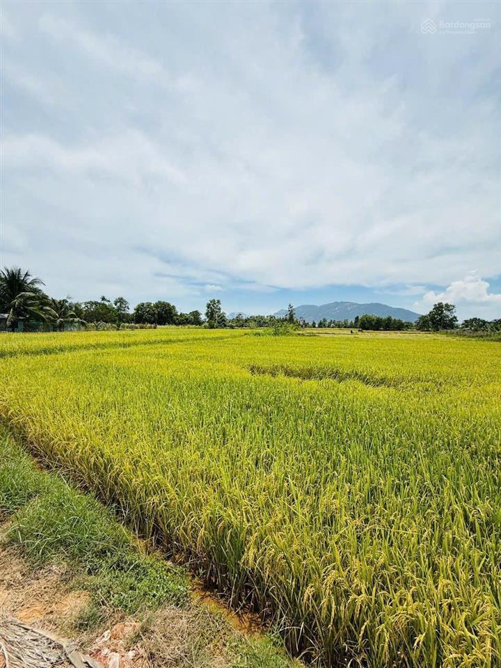Tôi chính chủ cần bán lô đất ninh an đặt khu kinh tế bắc vân phong