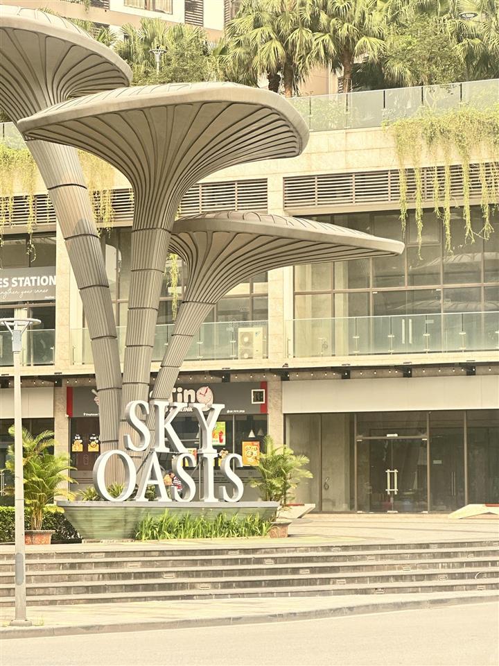 Cho thuê căn 3 ngủ toà sp sky oasis tầng 9 chính chủ (toà cao cấp phân khu) full nội thất