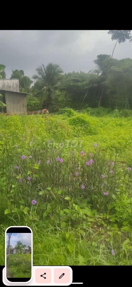 đất mặt tiền thổ cư